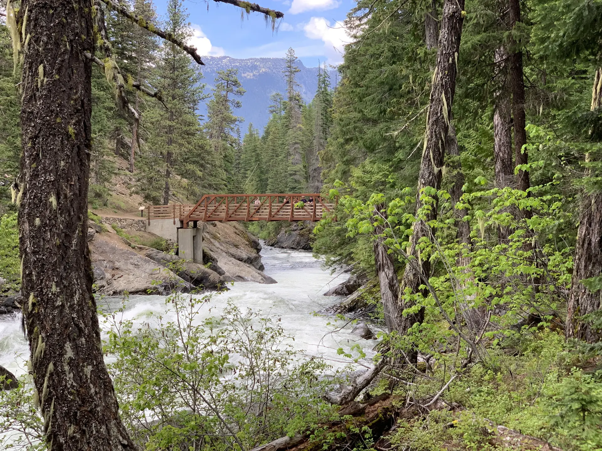 Bridge over Icicle Creek on the Icicle Gorge trail