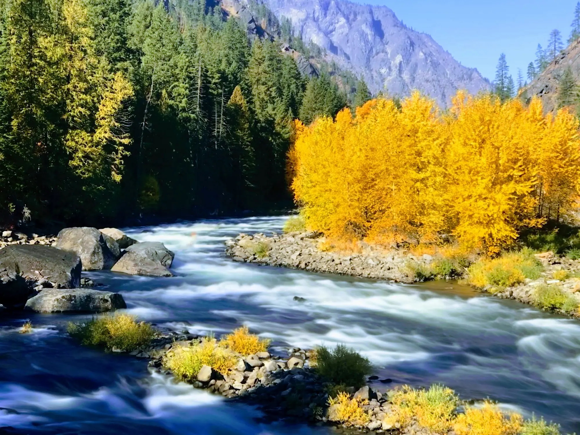 Wenatchee River in fall color near the Pipeline Trail, Leavenworth