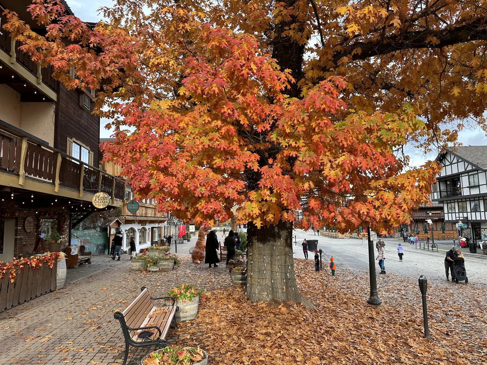 Leavenworth village maple tree fall color cobblestones