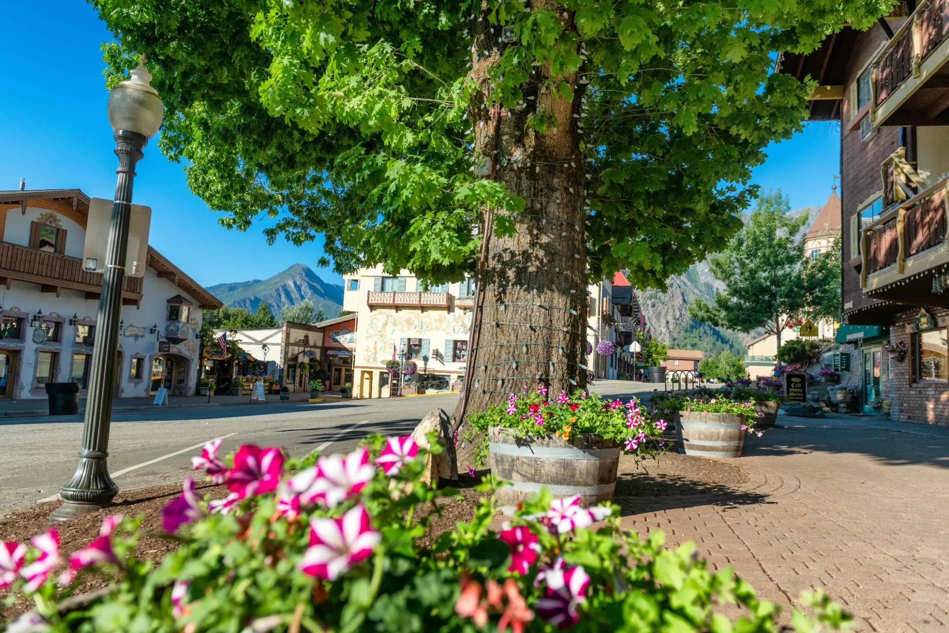 Leavenworth Front Street summer morning flowers